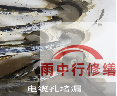 秦皇岛电缆线空洞堵漏加固案例