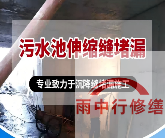 秦皇岛某污水处理厂钢筋混凝土池堵漏案例